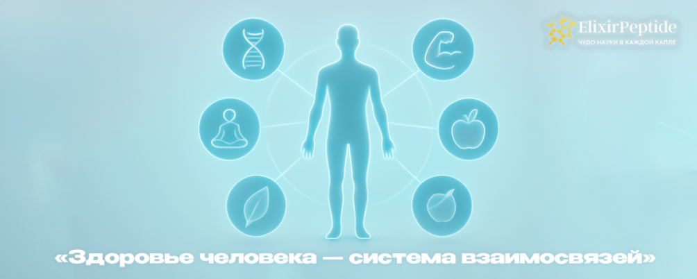 Факторы, влияющие на здоровье человека: что важно знать