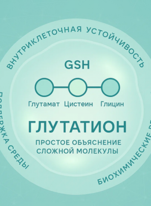 Почему глутатион важен для организма: простое объяснение